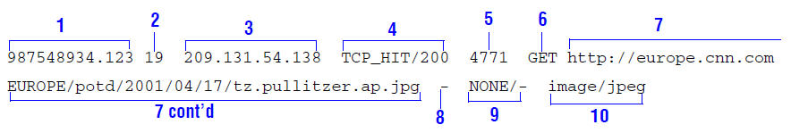 Sample log entry in squid.log